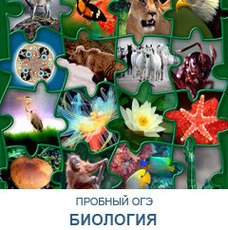 Описание изображения